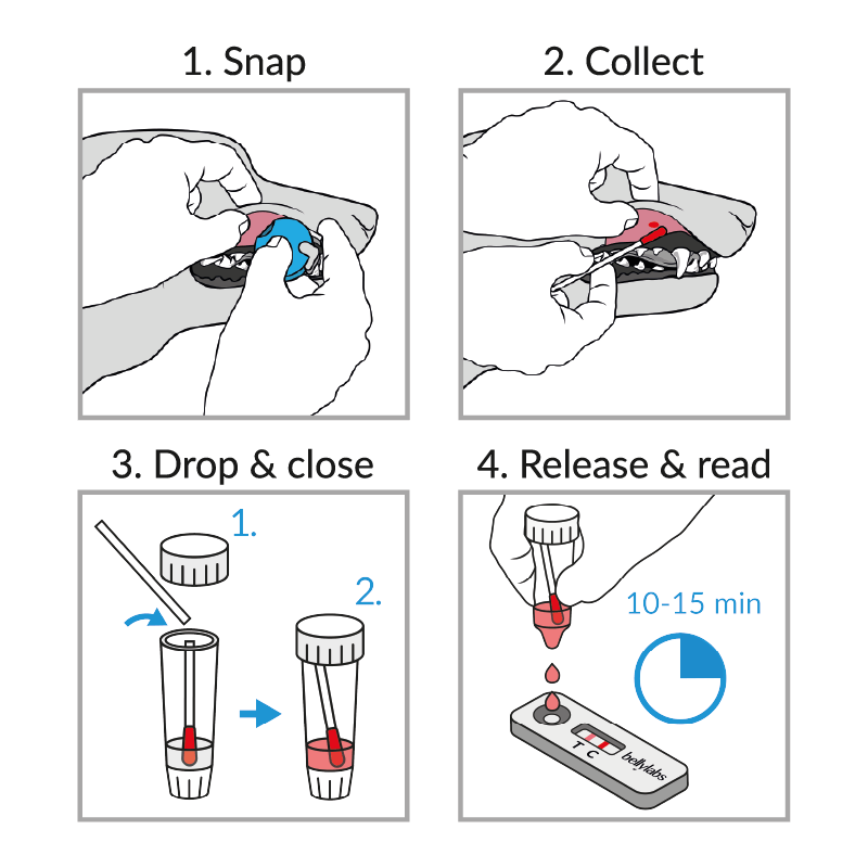 Bellylabs Canine Pregnancy Test, 45 OFF