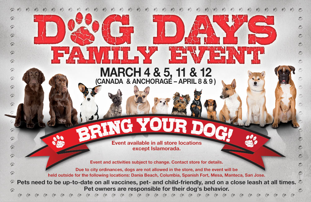 Bass Pro Shop Dog Days Family Event Pet Terrain