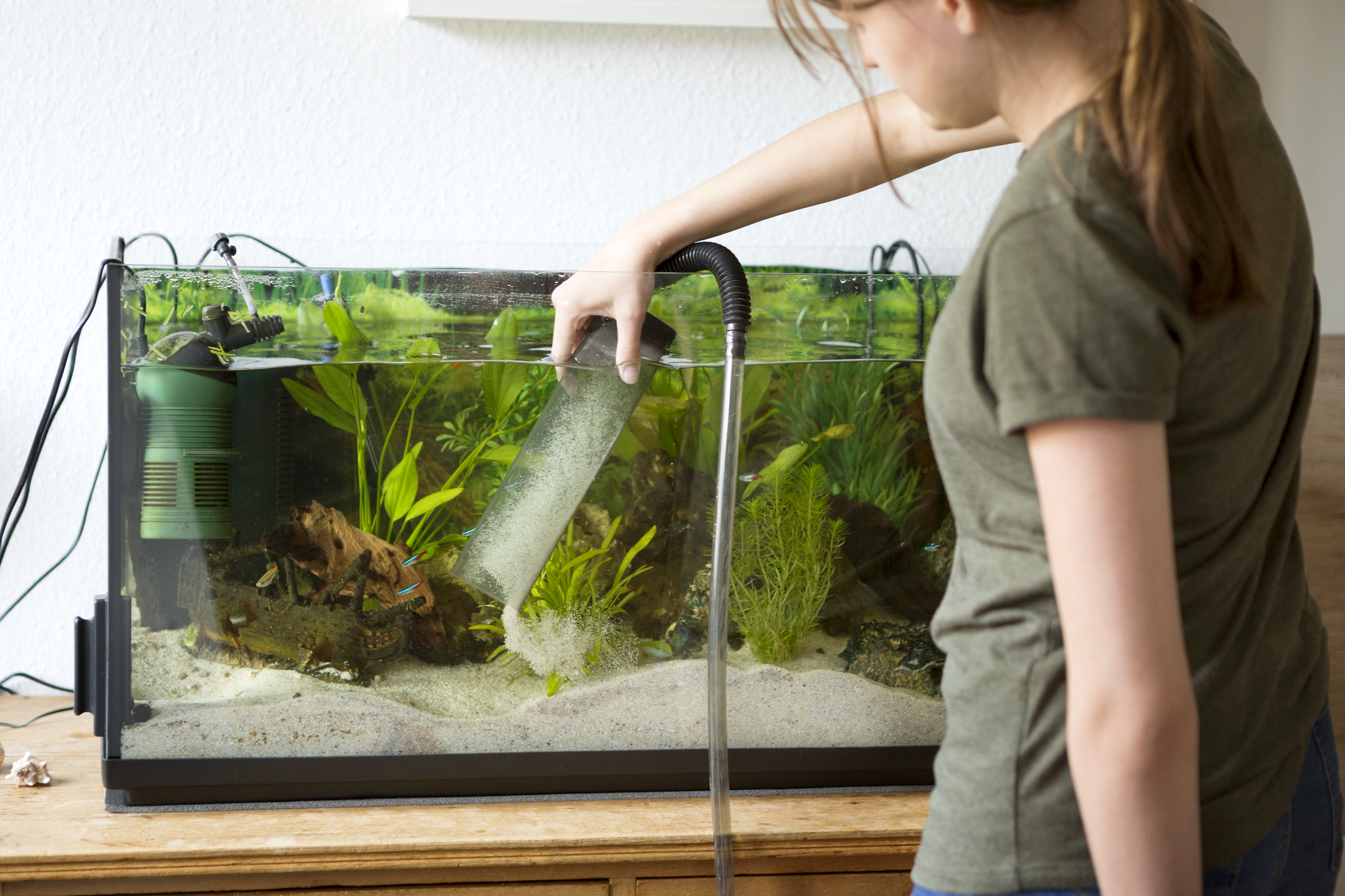 How To Clean A Fish Tank? Pet Tips And Tricks