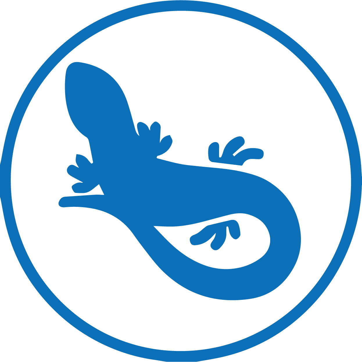 Exotic Pet Care Pet Townsend Veterinary Clinic