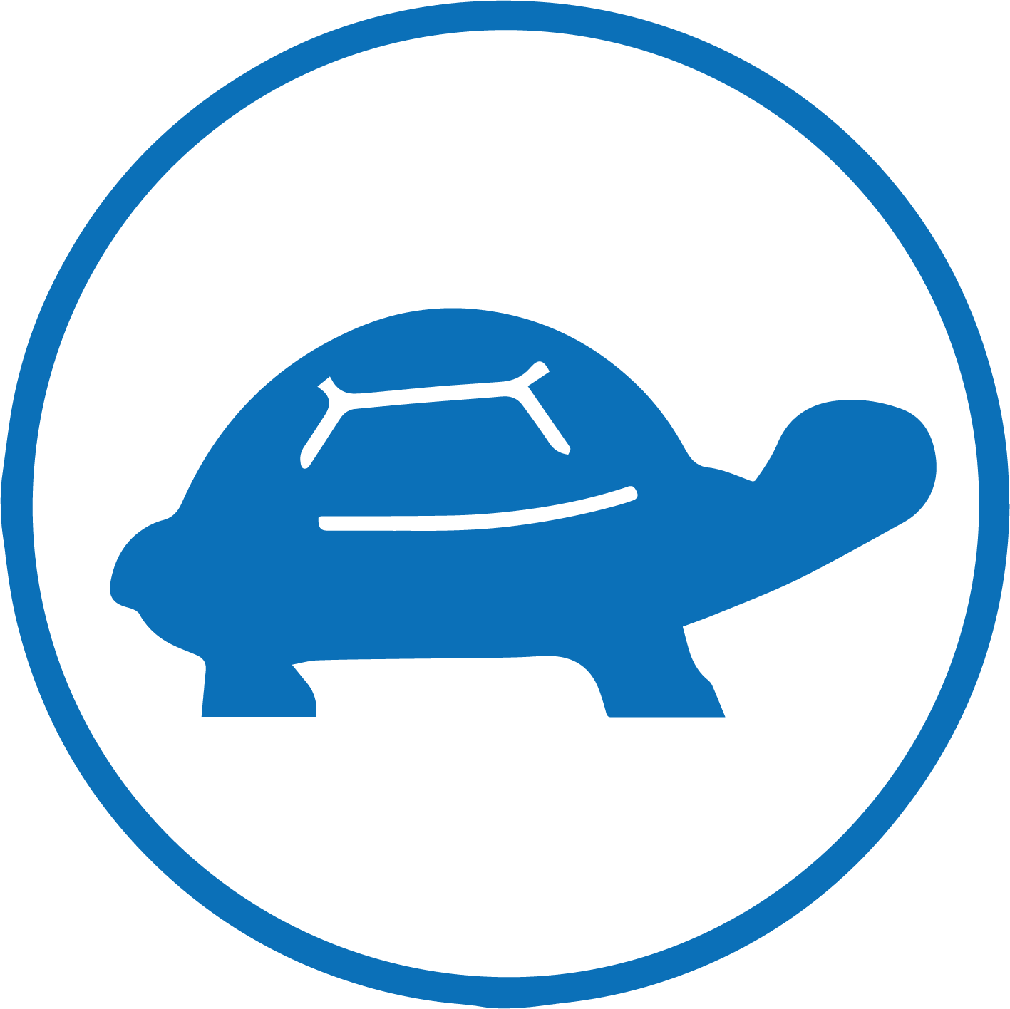 Exotic Pet Care Pet Townsend Veterinary Clinic