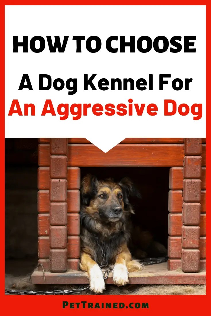 5 Tips On How To Choose A Dog Kennel For An Aggressive Dog Pet Trained