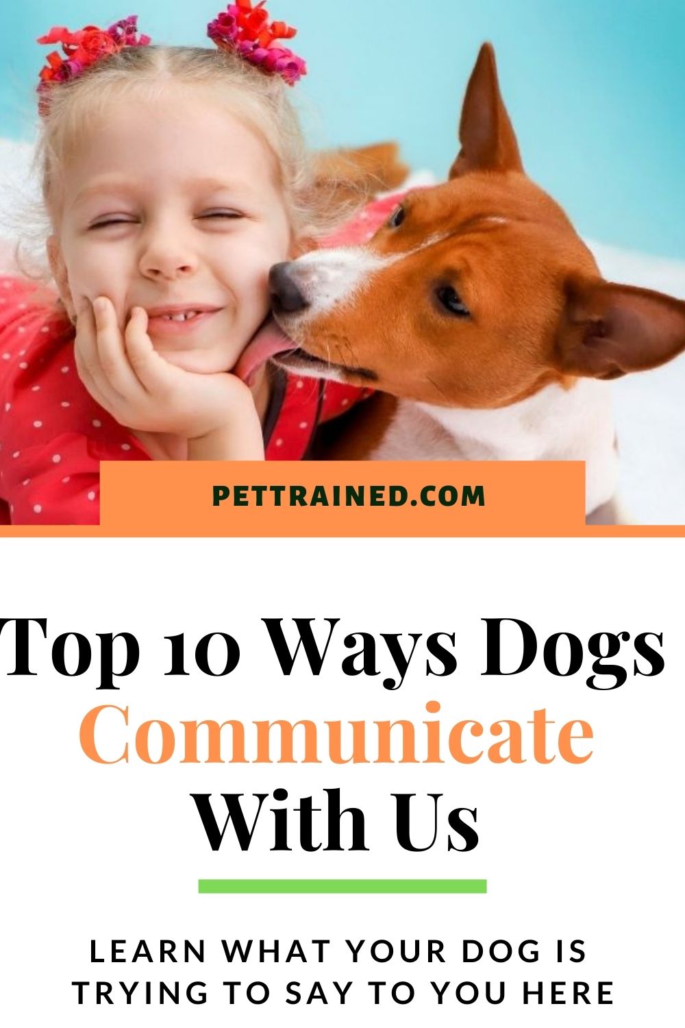 How Do Dogs Communicate With Us? See The Top 10 Ways Pet Trained