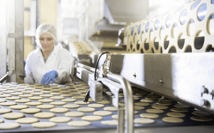 3 Steps to Consider in the Food Manufacturing Industry petty mayo