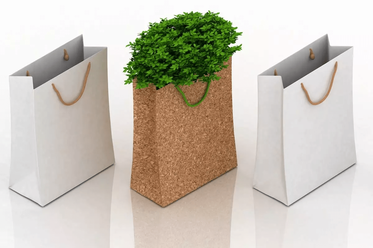 Use The EcoFriendly Bags To Grow Your Business And Get Success