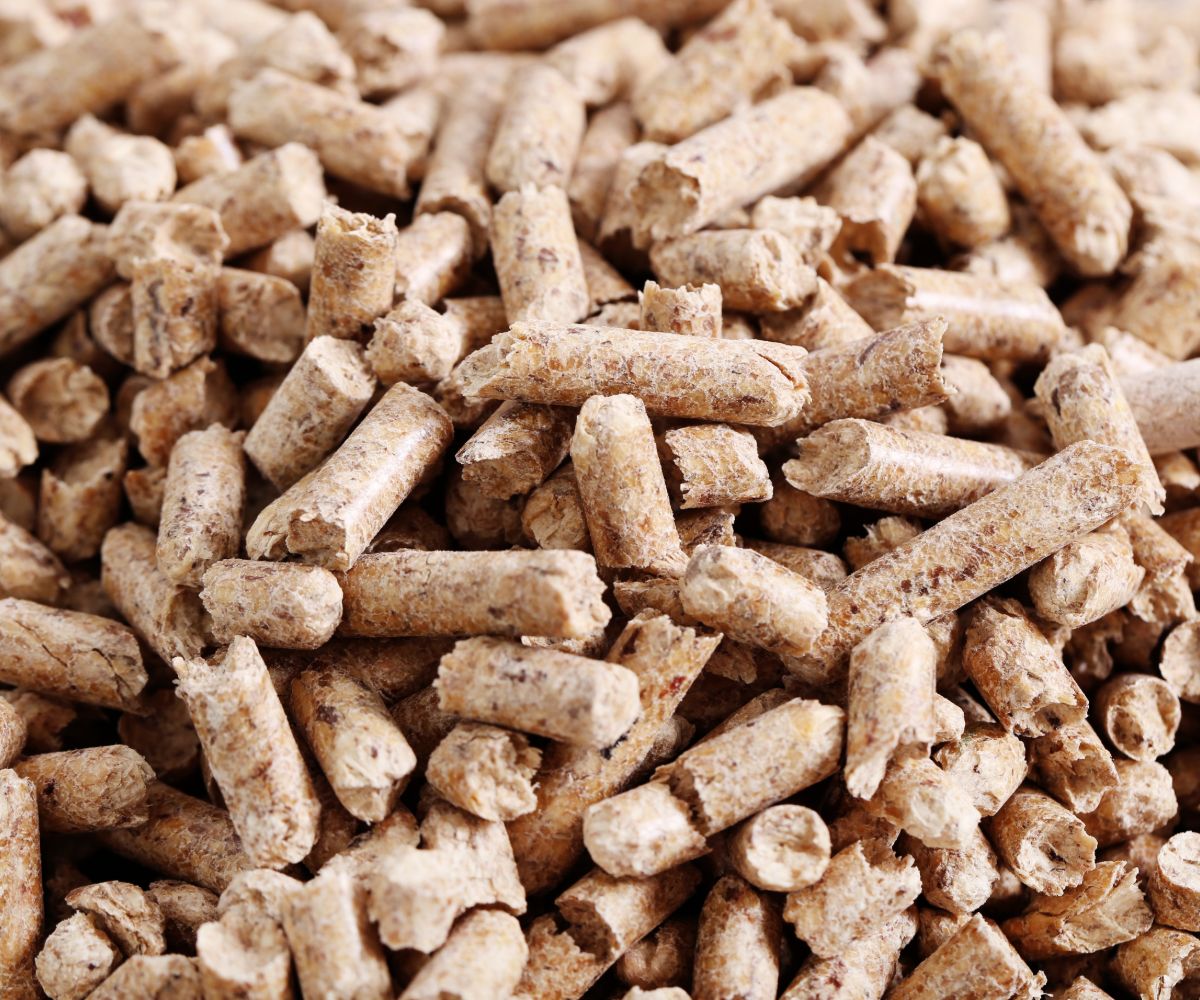 What Kind of Wood Bedding is Safe for Ferrets? (Avoid Pine and Cedar