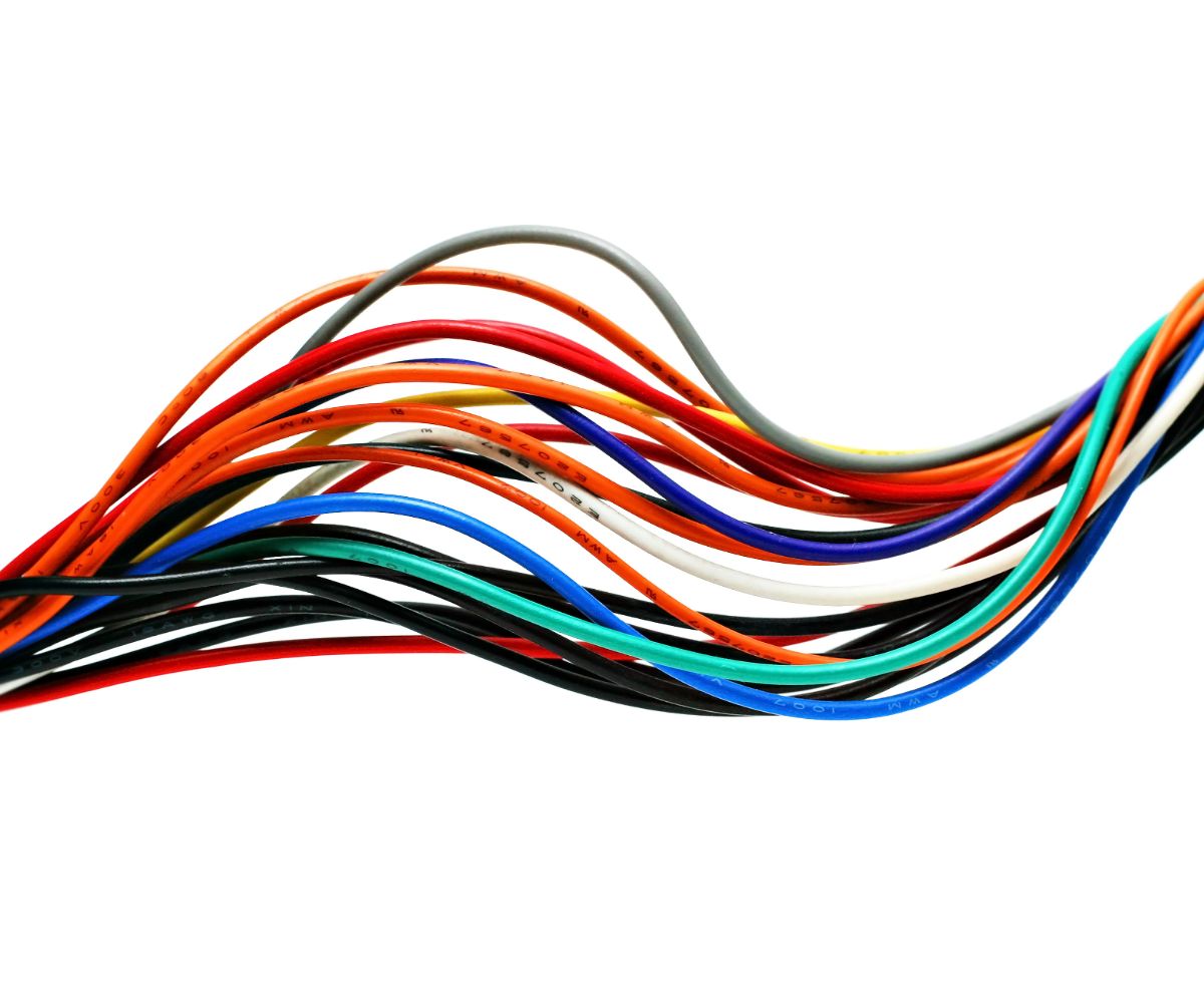 Do Ferrets Chew Wires? petusiast