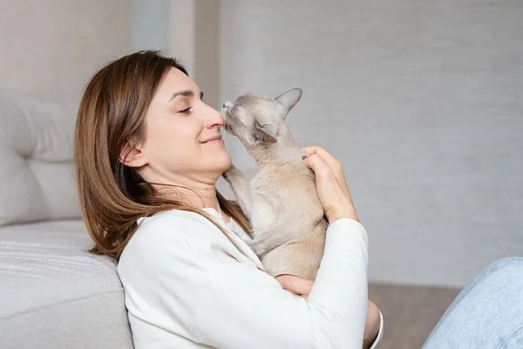 Why does My Cat Sniff My Eye? Find Out Why & What