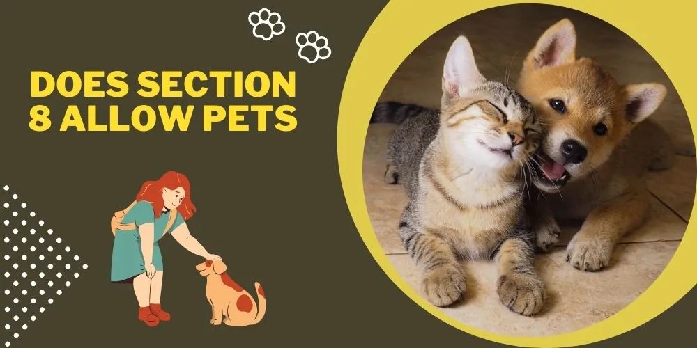 Does Section 8 Allow Pets? An Authentic Guide