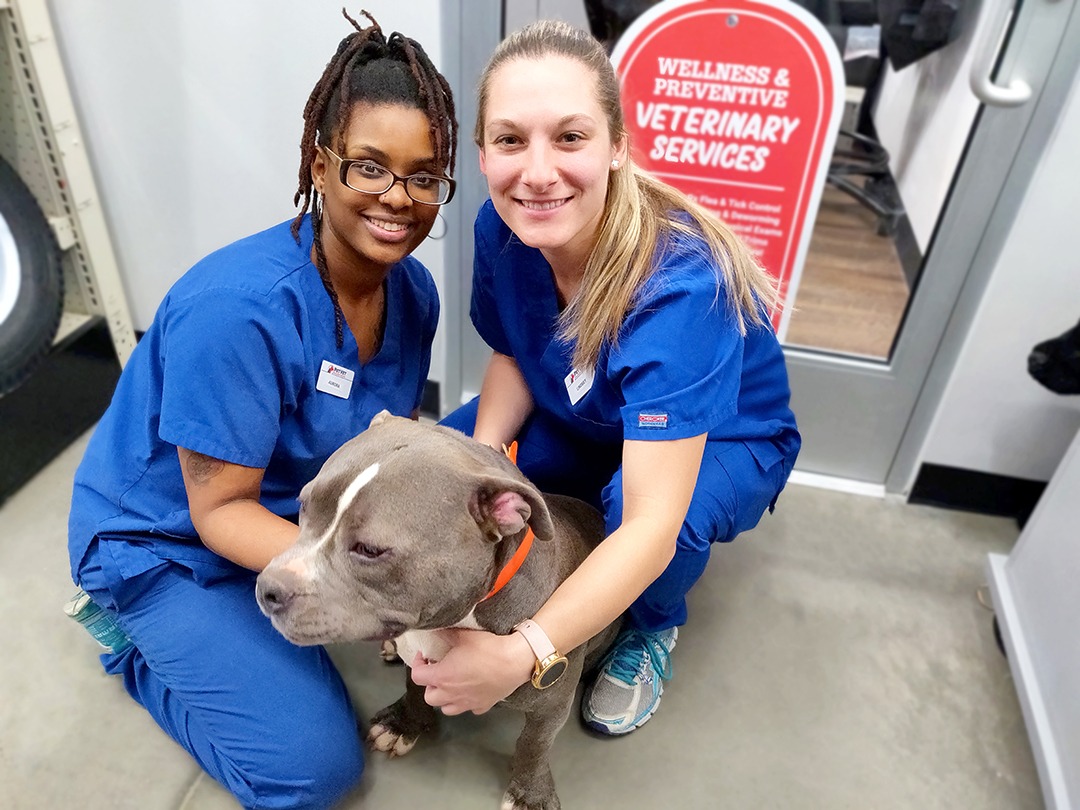 About PetVet at Tractor Supply PetVet