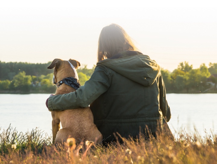 PetVet Clinics in Tractor Supply PetVet