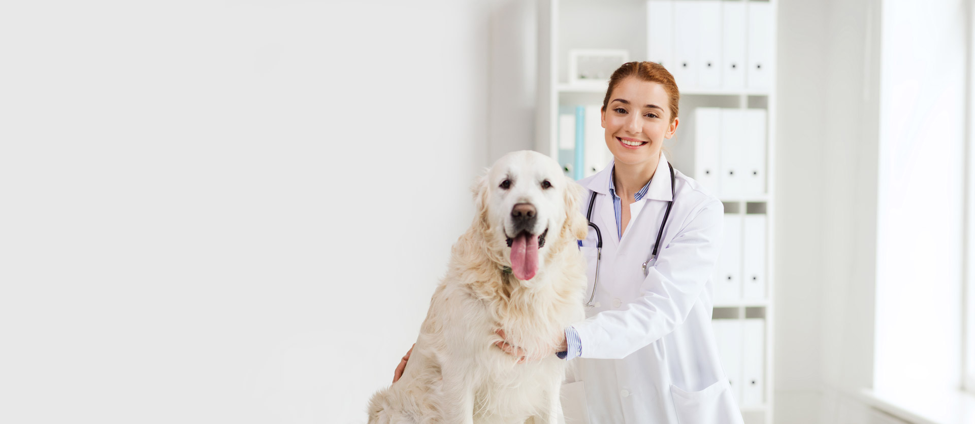 Home Pet Vet World Multispeciality pet care veterinary clinic in Kolkata
