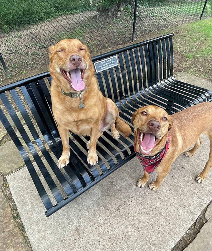 Rockwall TX Dog Poop Removal Pet Waste Inc