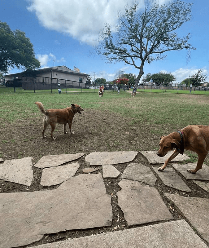 Rockwall TX Dog Poop Removal Pet Waste Inc