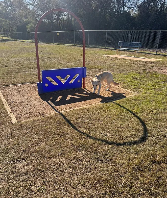 Fort Worth, TX Pooper Scooper Services Pet Waste Inc