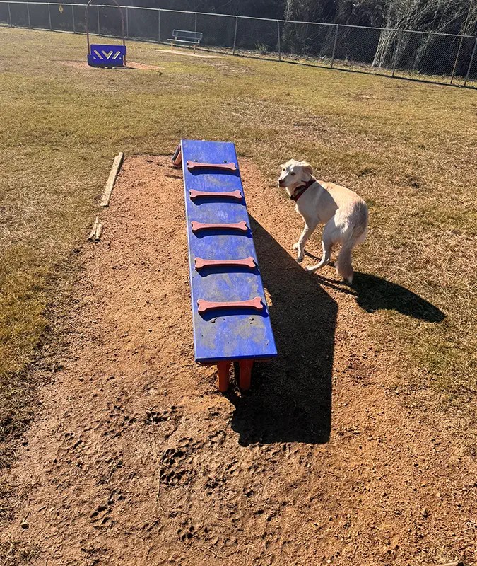 Fort Worth, TX Pooper Scooper Services Pet Waste Inc