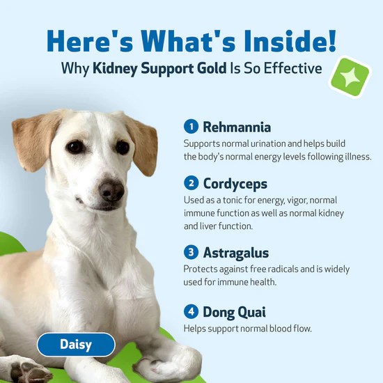 Kidney Support Gold for Dog Kidney Function Pet Wellbeing