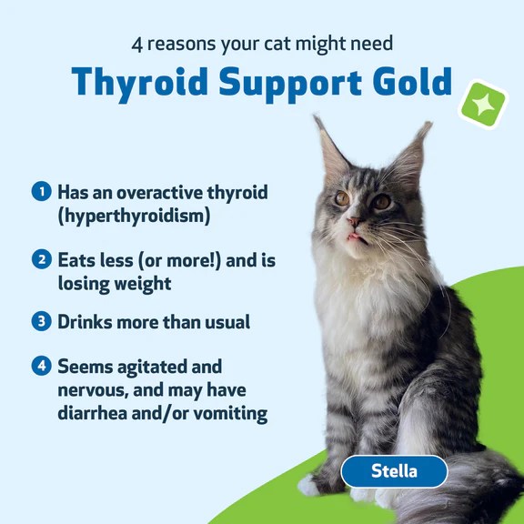Thyroid Support Gold for Cat Hyperthyroid Pet Wellbeing