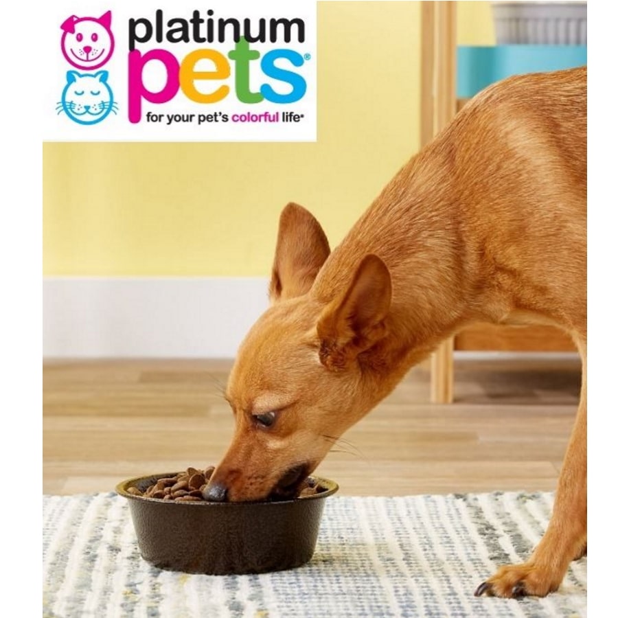 Can A Dog Eat Cotton Candy