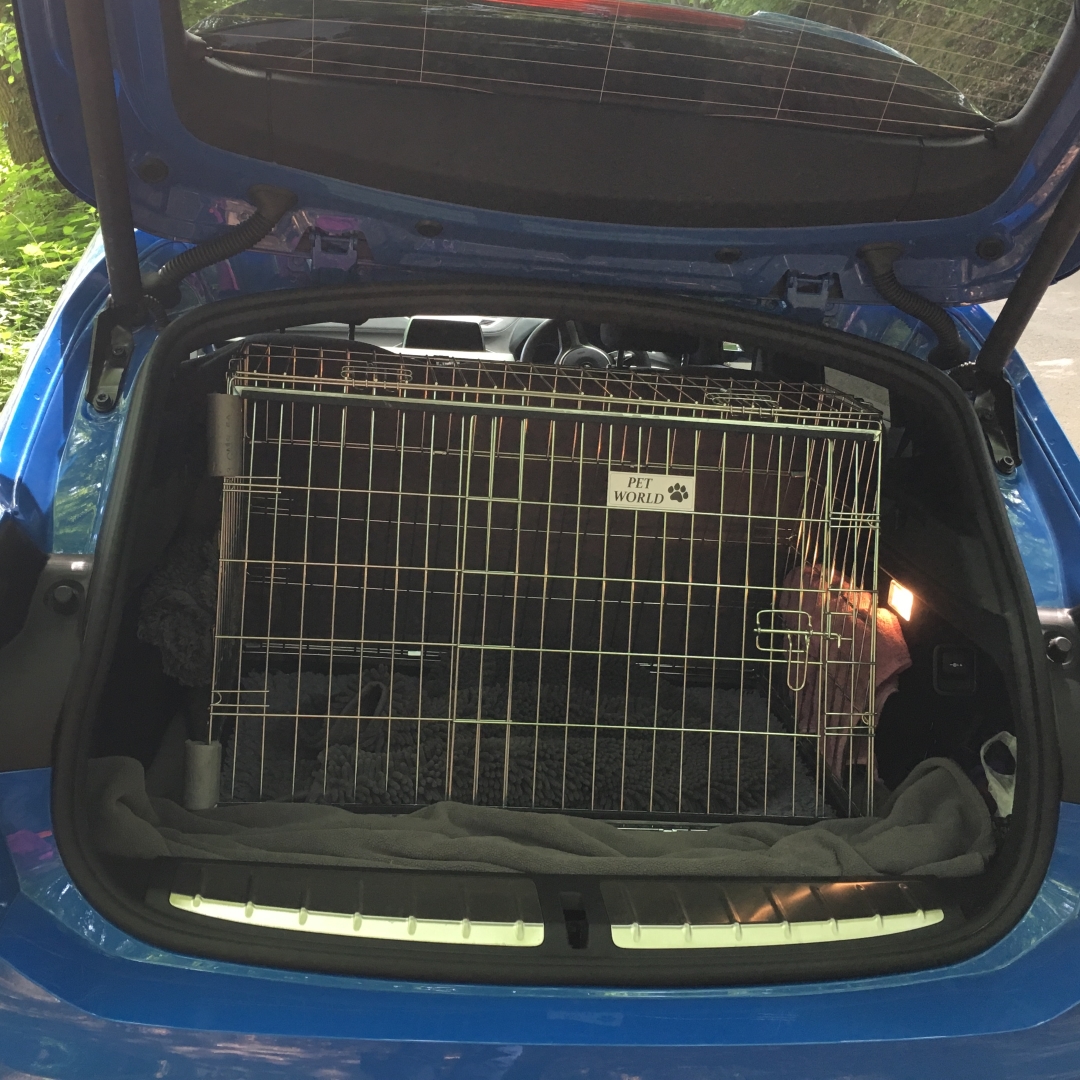 Pet World Car Dog Cage Crate BMW X2 2018 Onward Pet World