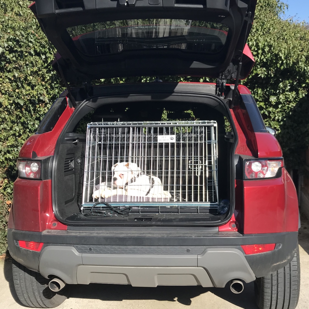 Pet World Range Rover Evoque 2011 2018 Car Dog Cage Crate Pet Travel