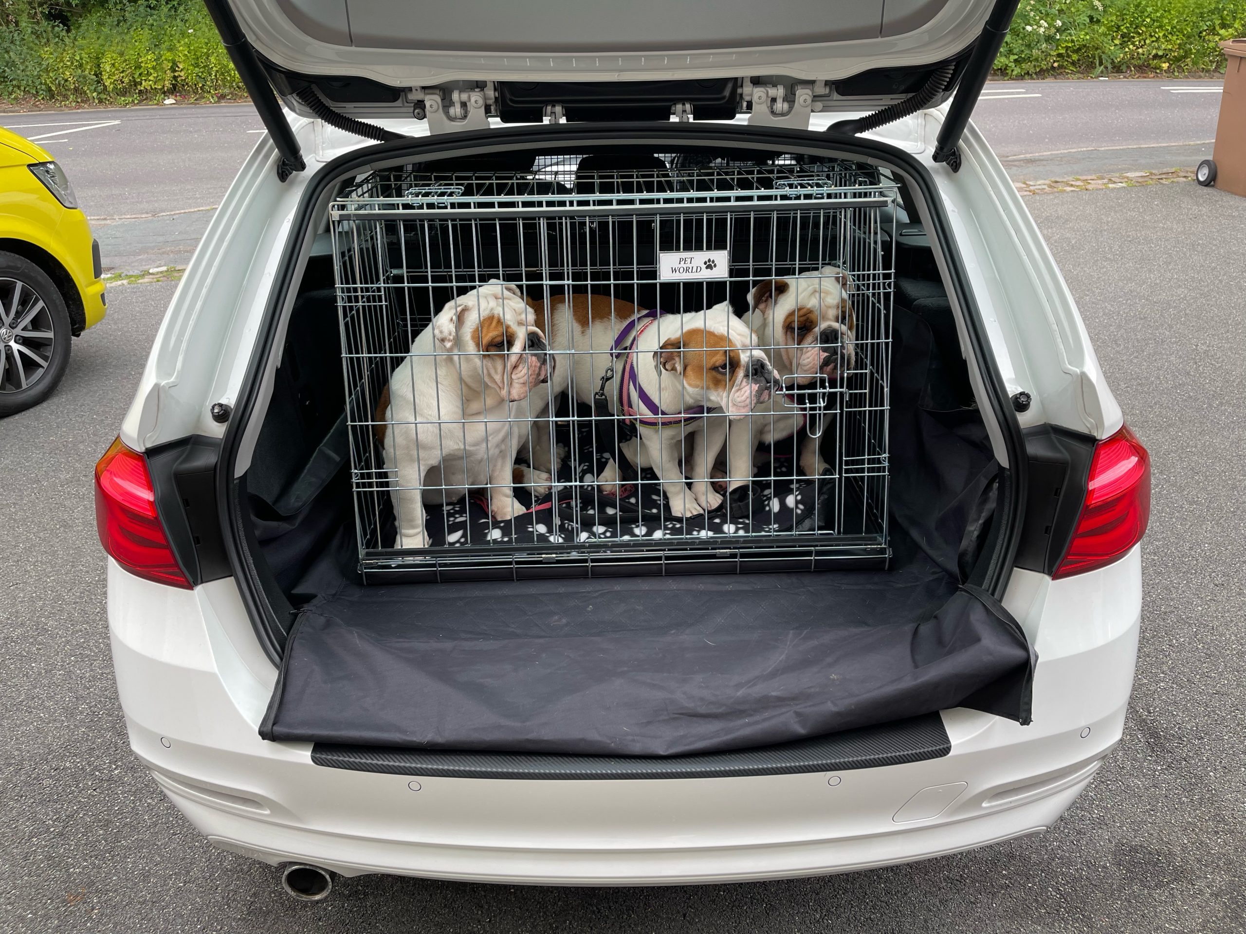 BMW 3 Series Touring Car Dog Crate Dog Travel Crate Pet World