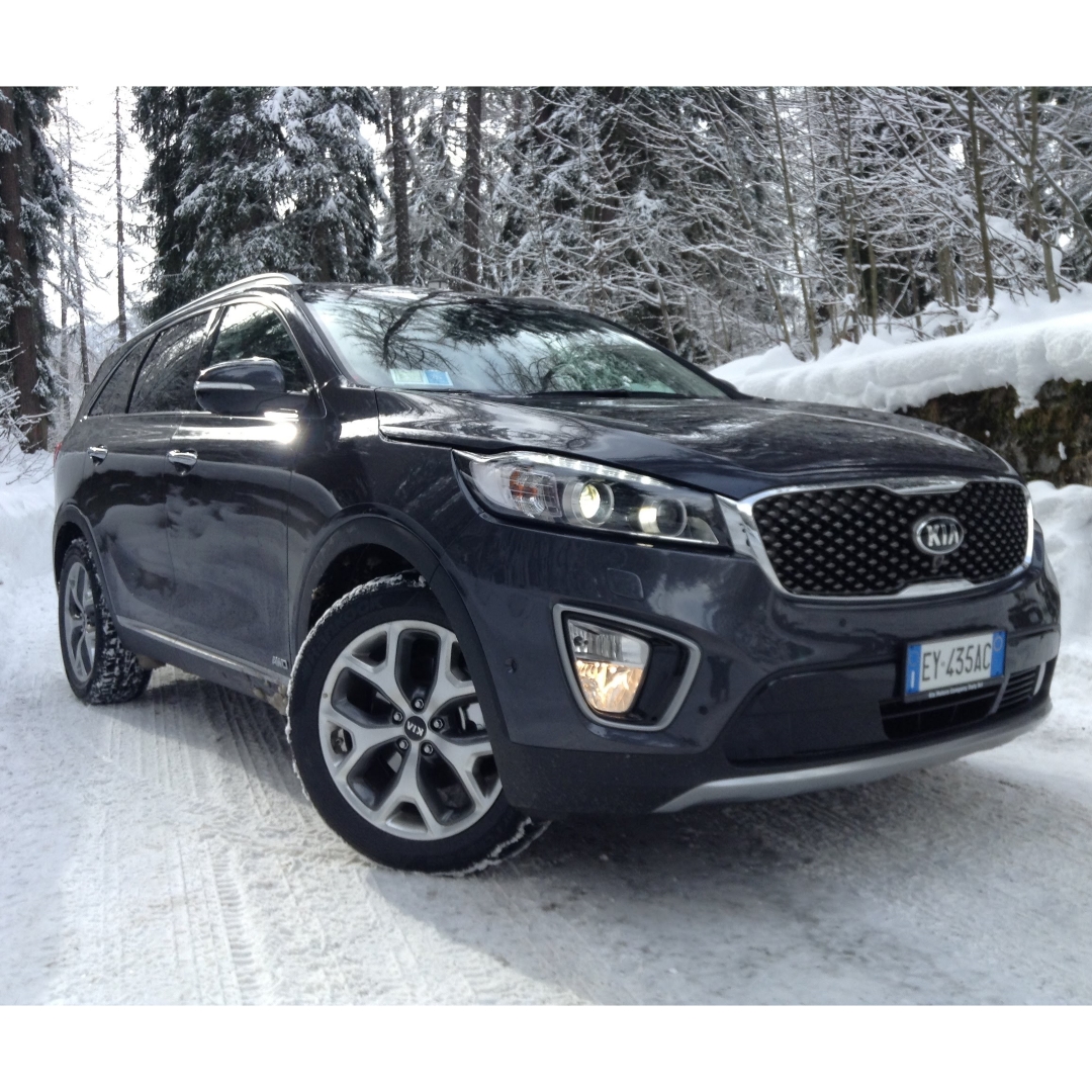 Pet World KIA SORENTO 2010 2014 Space Saver Car Dog Cage Pet World