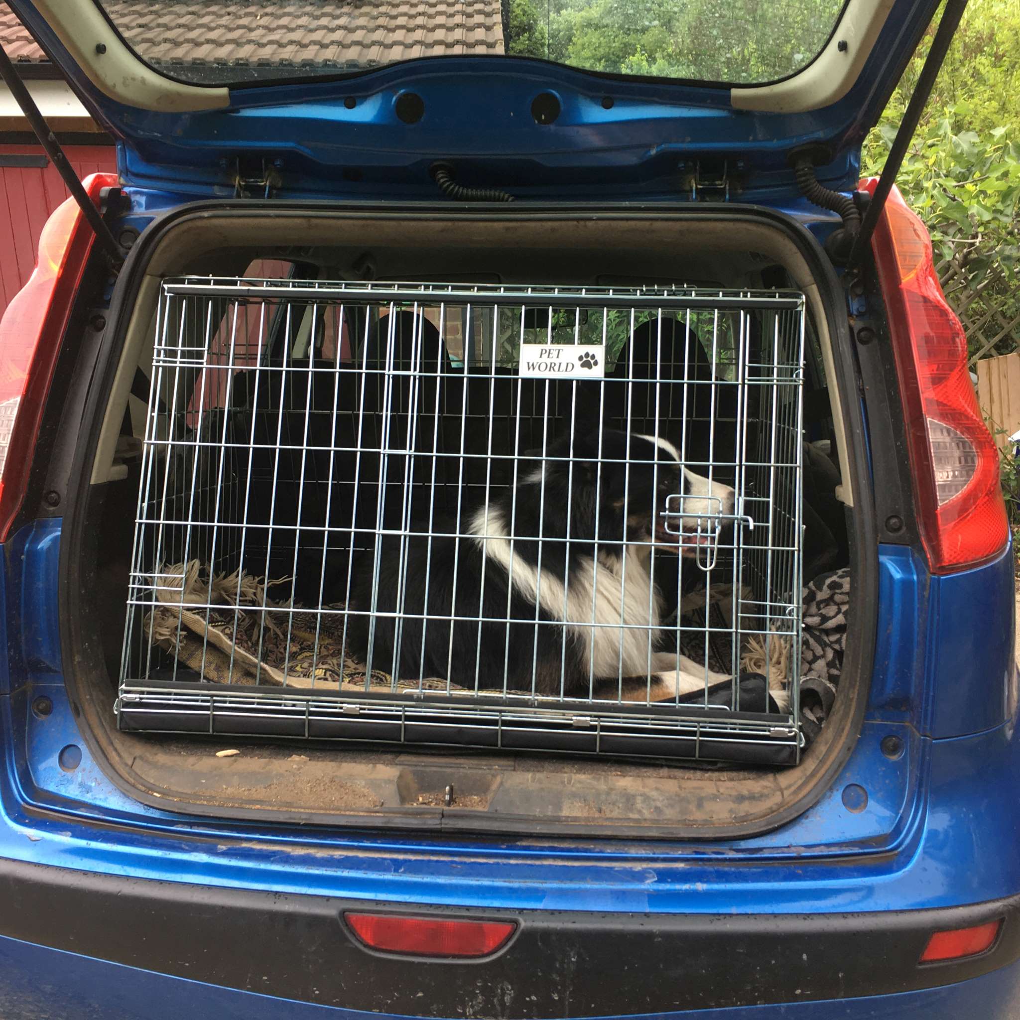 Pet World Car Dog Crate Nissan Note Pet Carrier Travel Crate Pet World