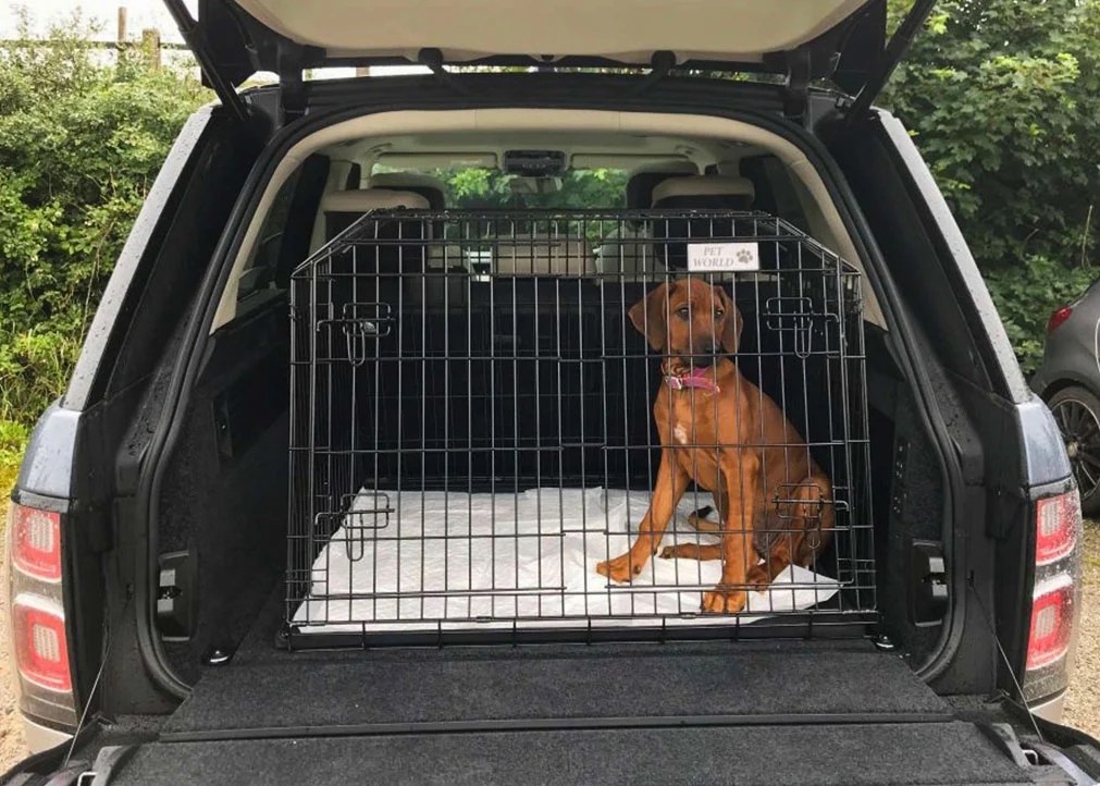 Pet World The Home of Pet Travel Crates