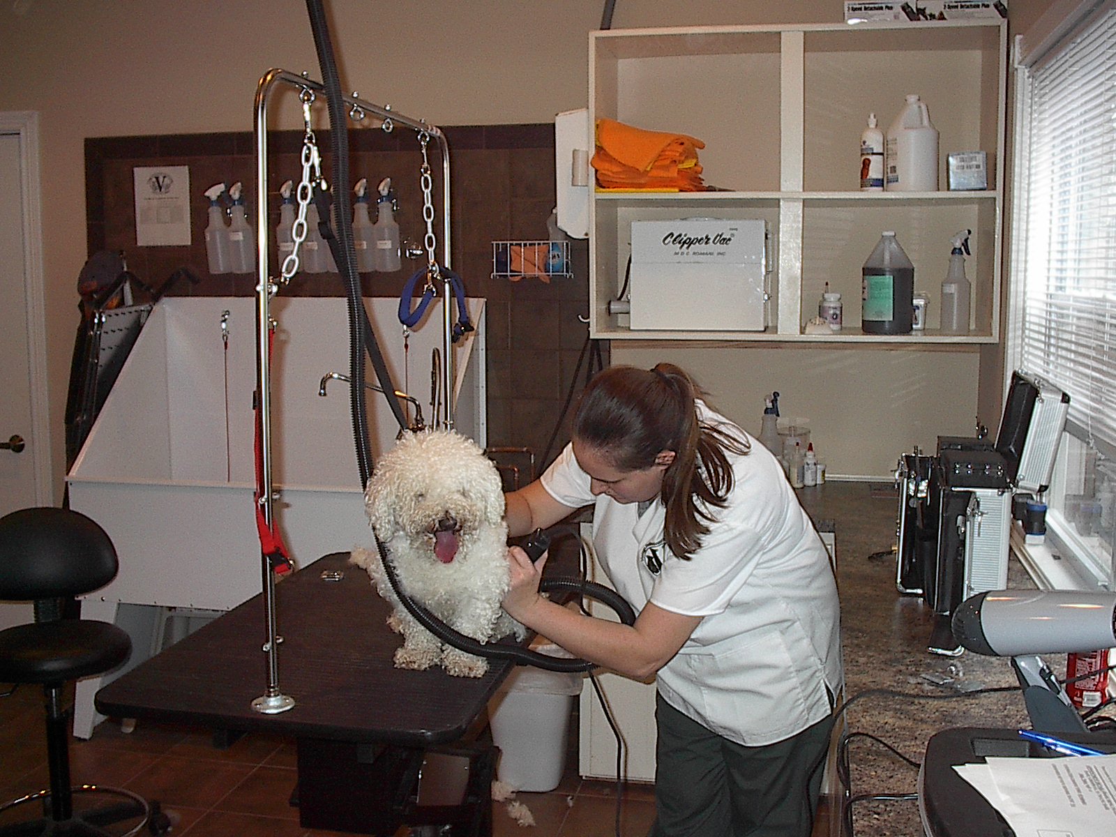 Highland Heights Animal Hospital PetWow