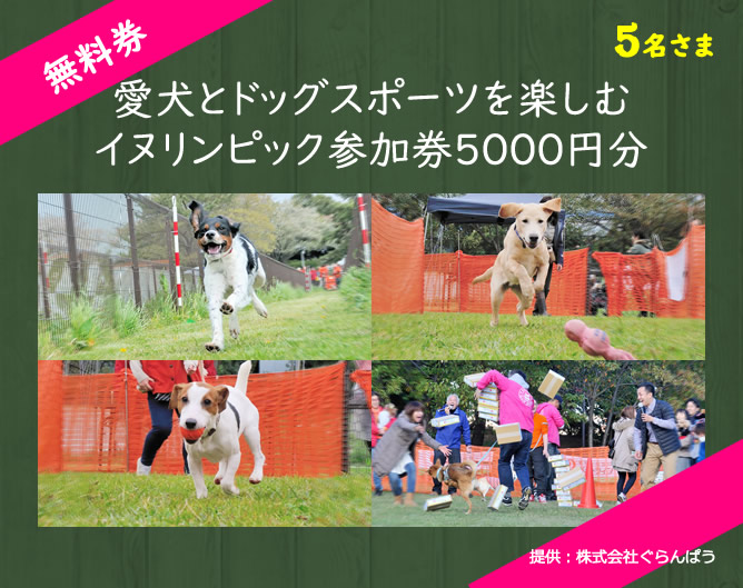 ペット宿ドットコムはペットと泊まれるお宿の紹介をはじめて20年 2019年6月におかげさまで20周年を迎えました！20周年記念プレゼントキャンペーン