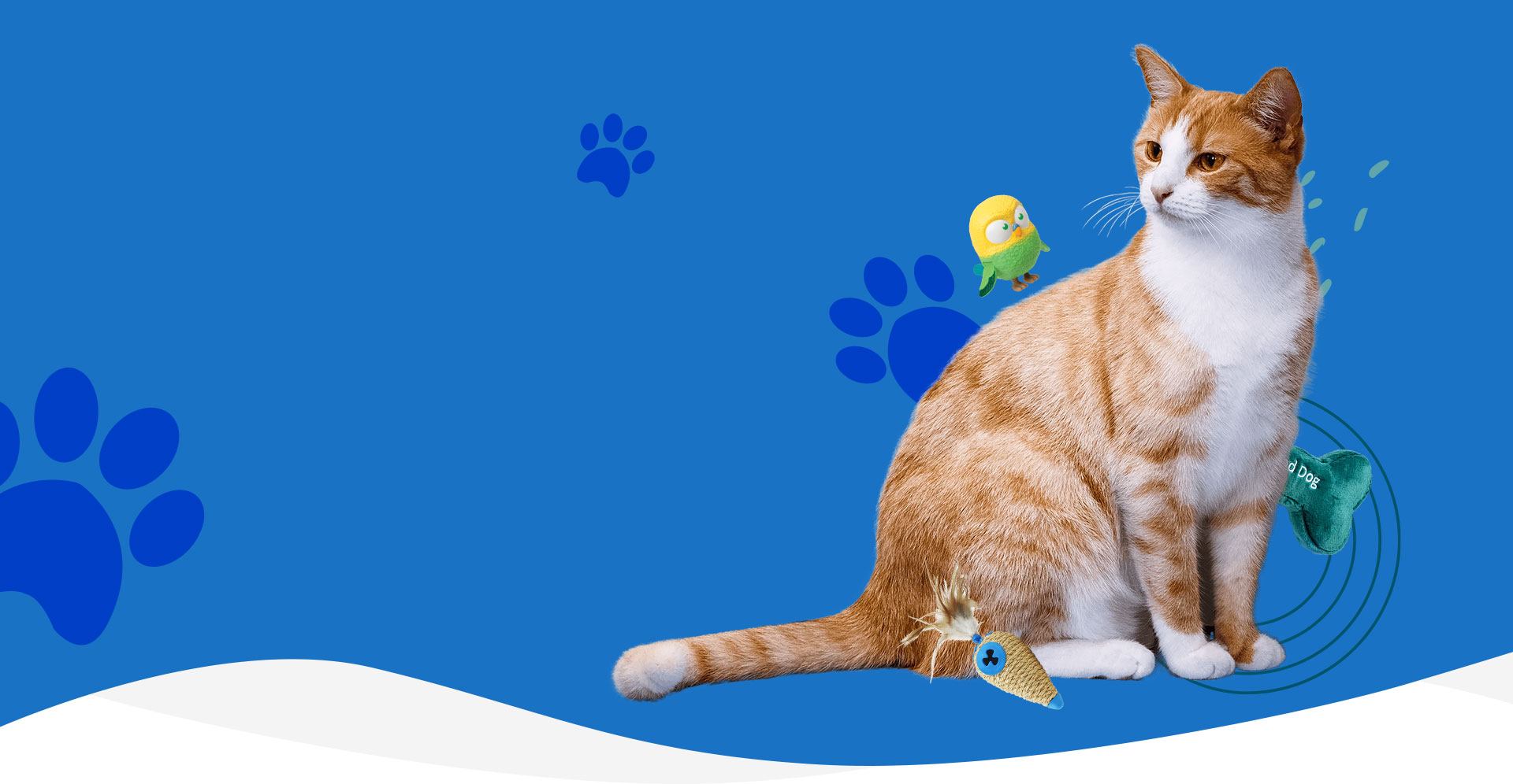 Best Pet Shop In Dubai Pet Store Dubai Pets In Abu Dhabi