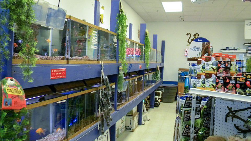 Saltwater and Freshwater Fish Pet Zone Bemidji, MN