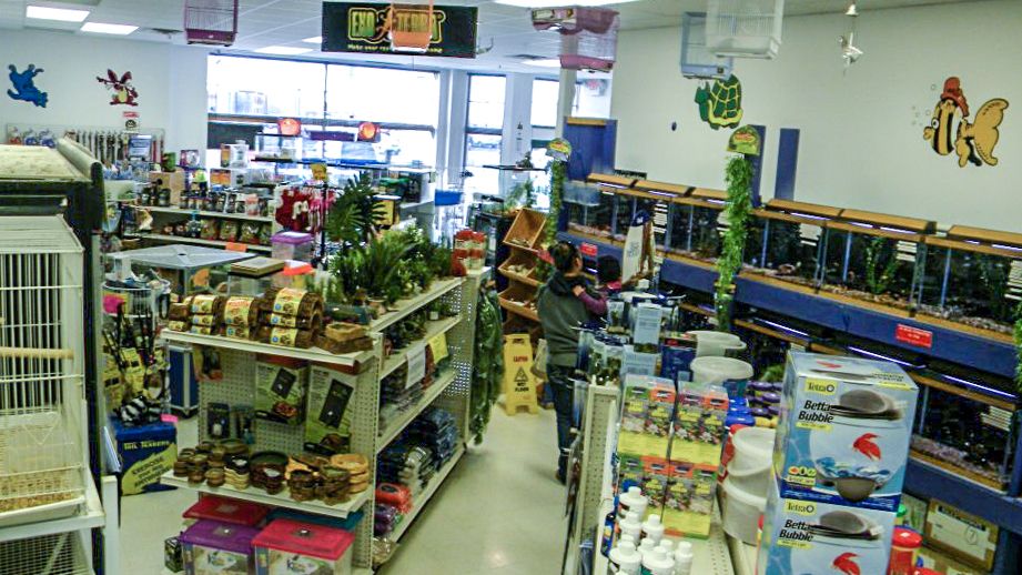 Rodents, Reptiles, Birds & More Pet Zone Bemidji, MN