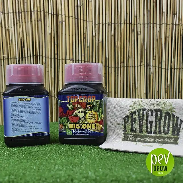 Big One Top Crop Fertilizers and pesticides.