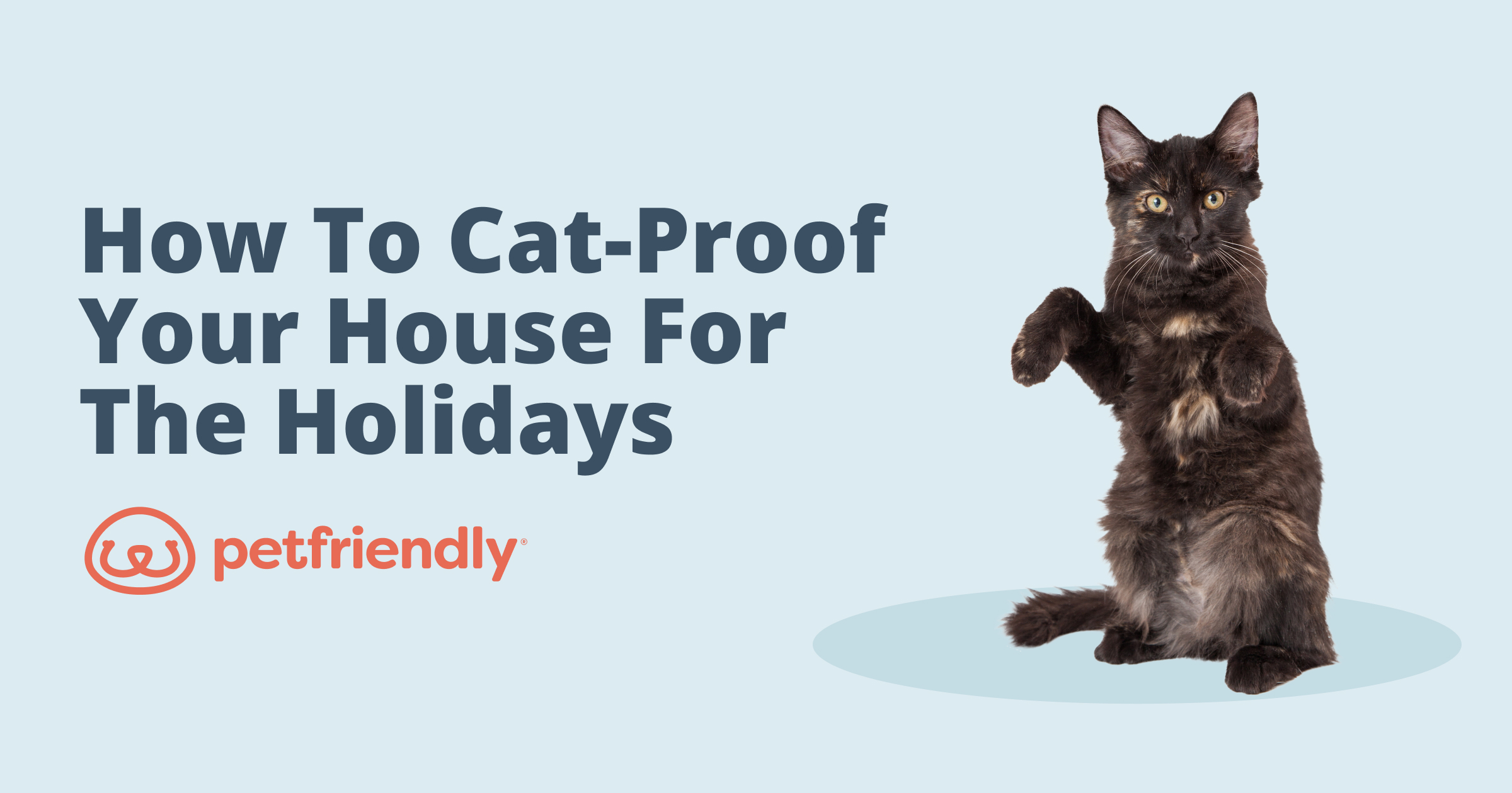 How to CatProof Your House for the Holidays