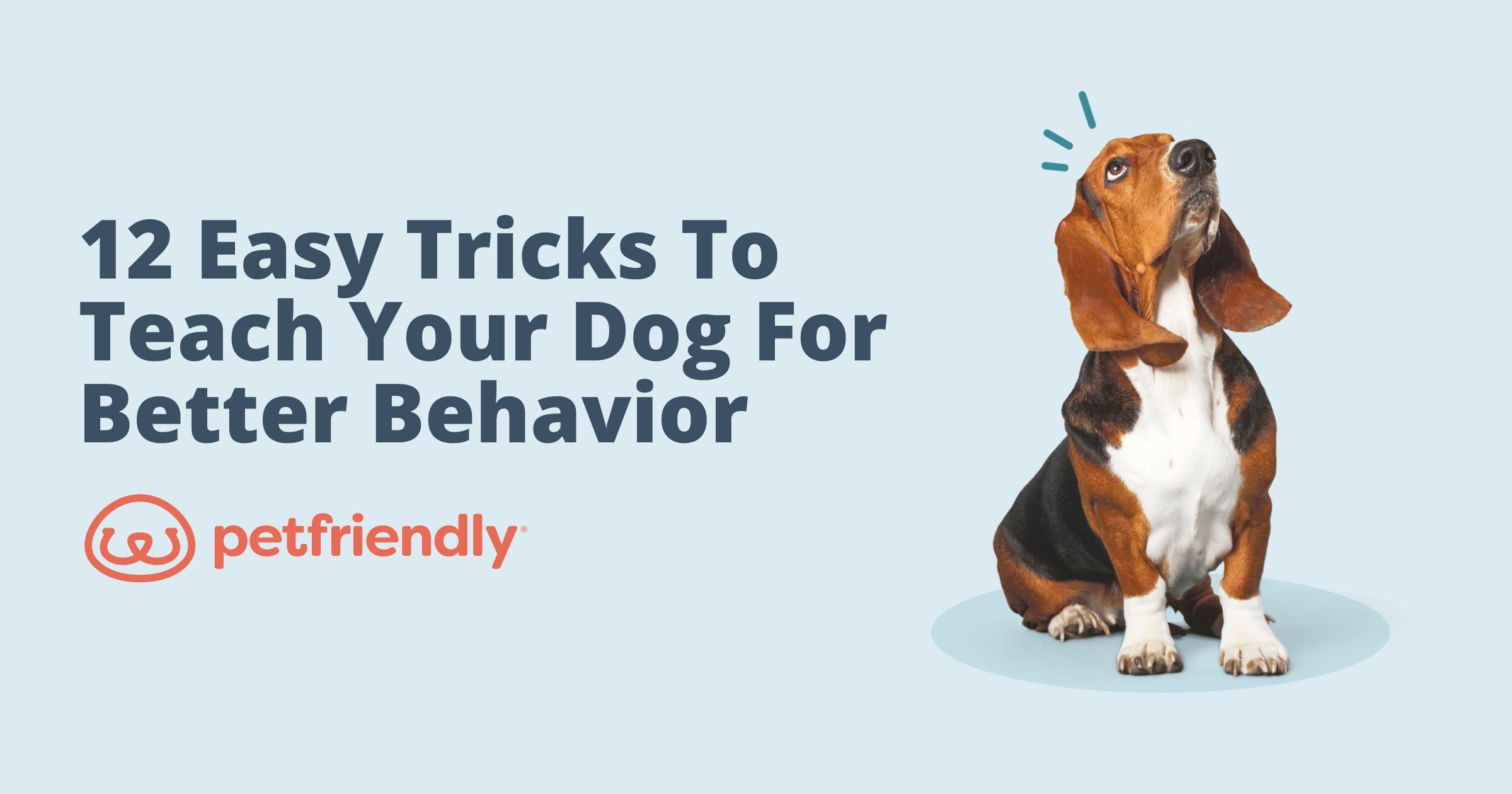 12 Easy Tricks to Teach Your Dog for Better Behavior