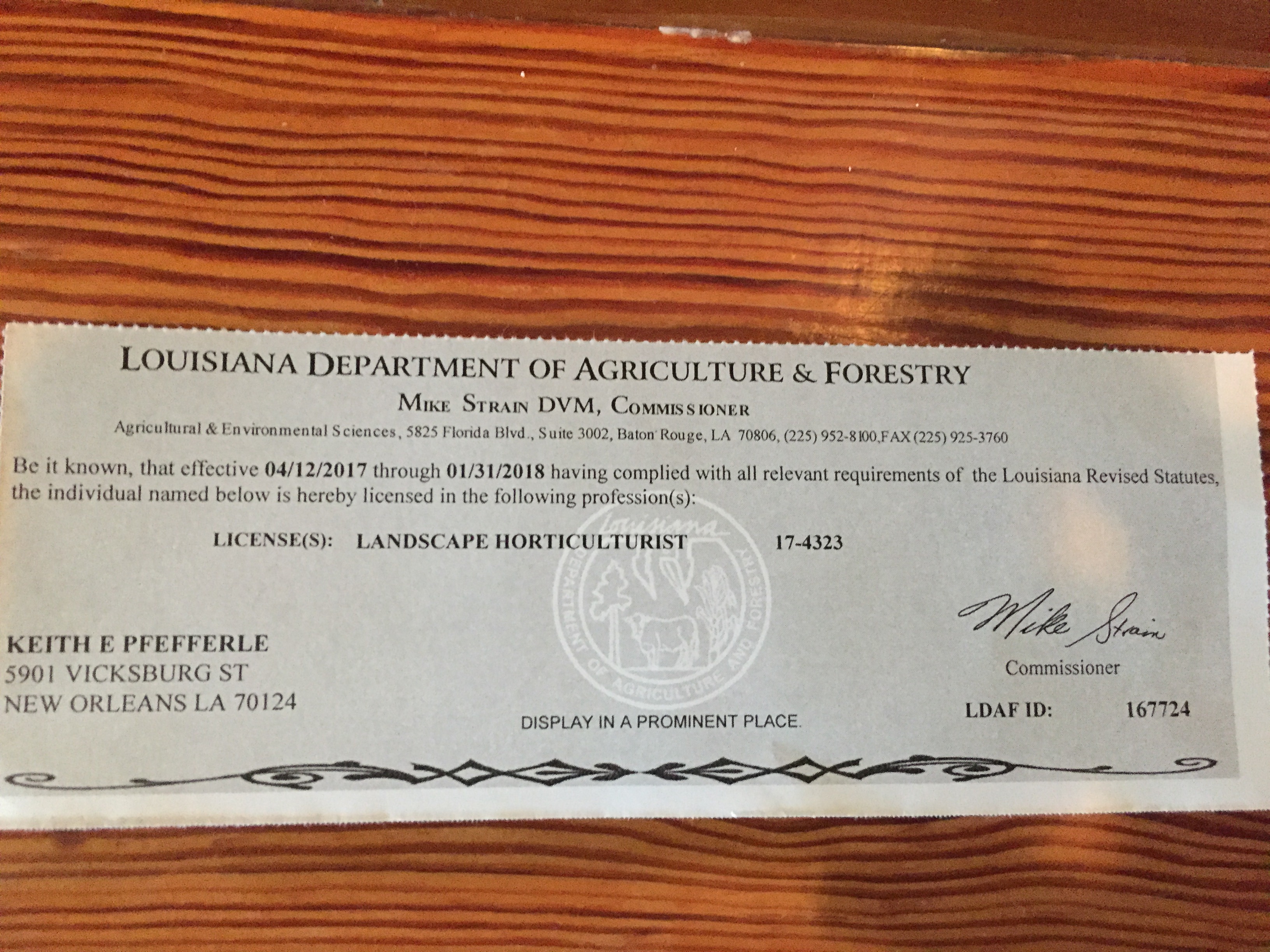 Pfefferle Lawns Landscape and Living Lawn Care Lakeview New Orleans