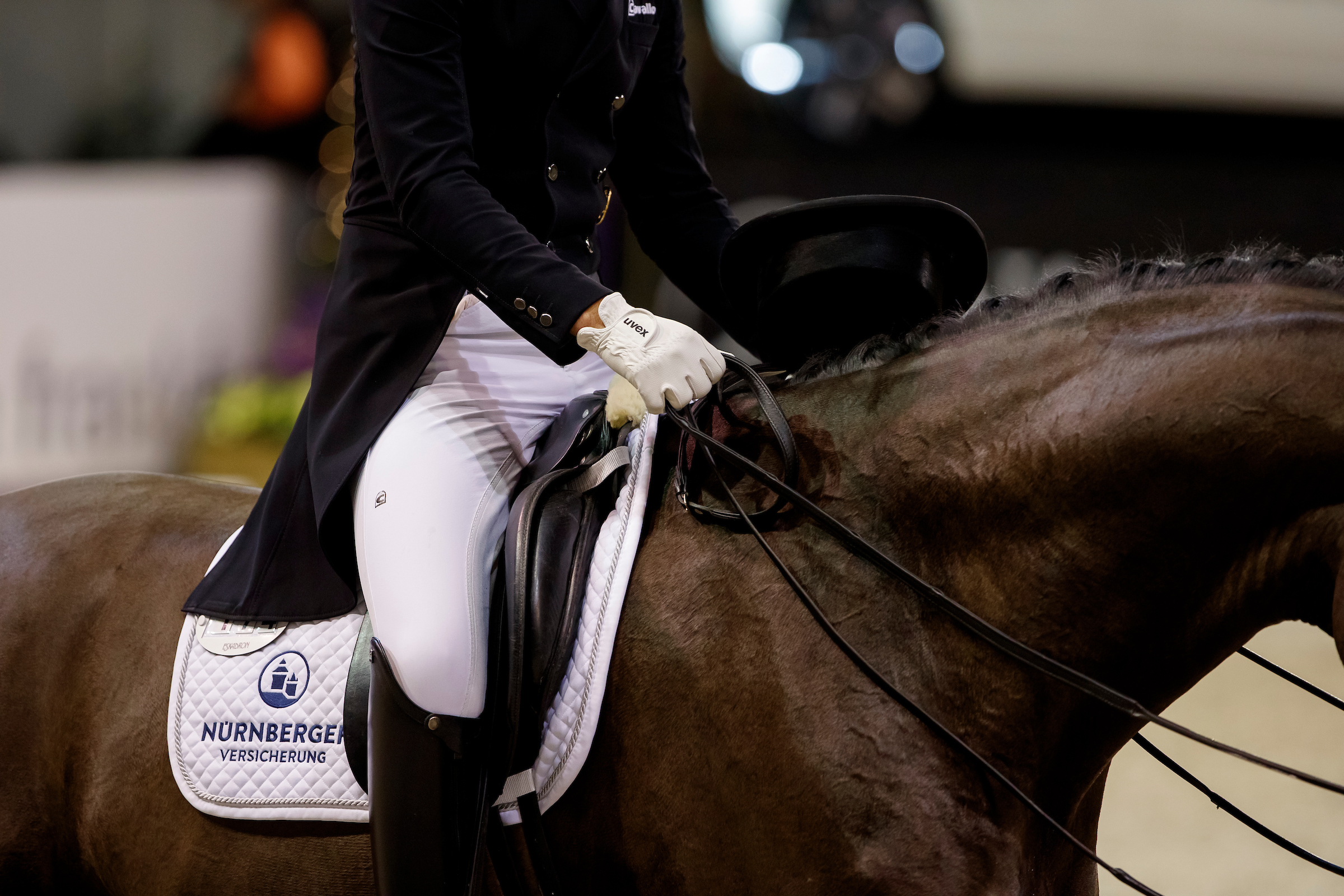 Pferd+Sport Zucht und Sport in SchleswigHolstein und Hamburg