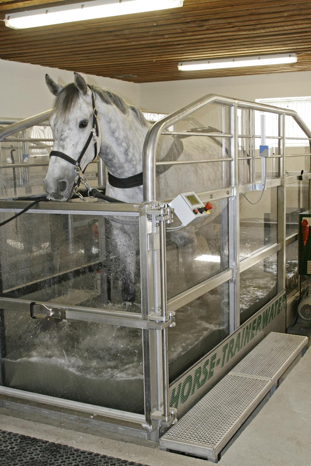 Aquatrainer für das Pferd HorseTrainer Water Pferdephysio Danner