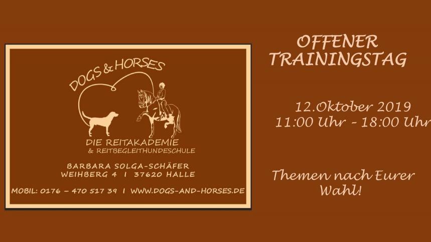 Offener Trainingstag " Nice to meet you!" PferdeTermine.de