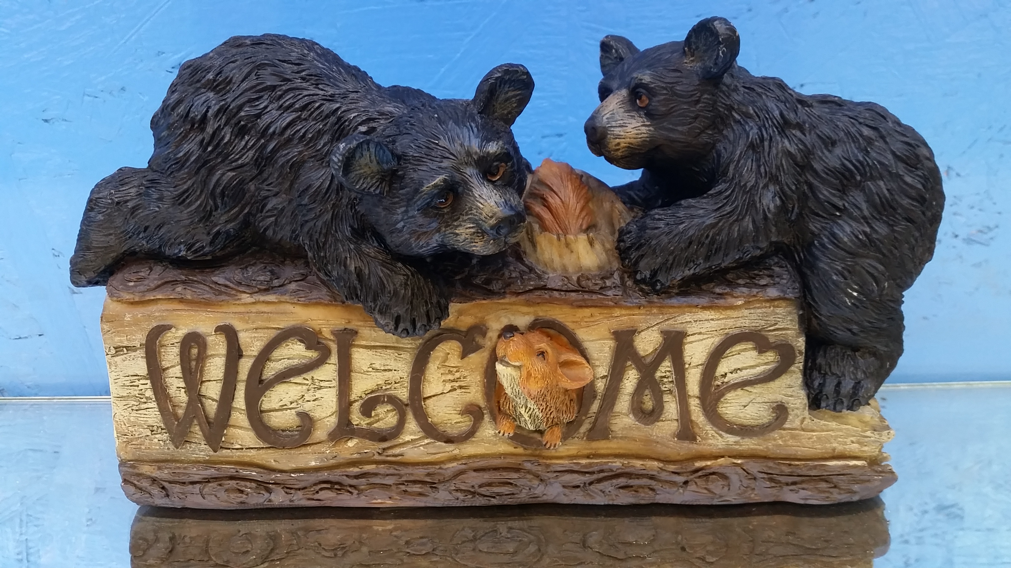 Bears Pisgah Forest Gem Mine Pisgah Forest, NC