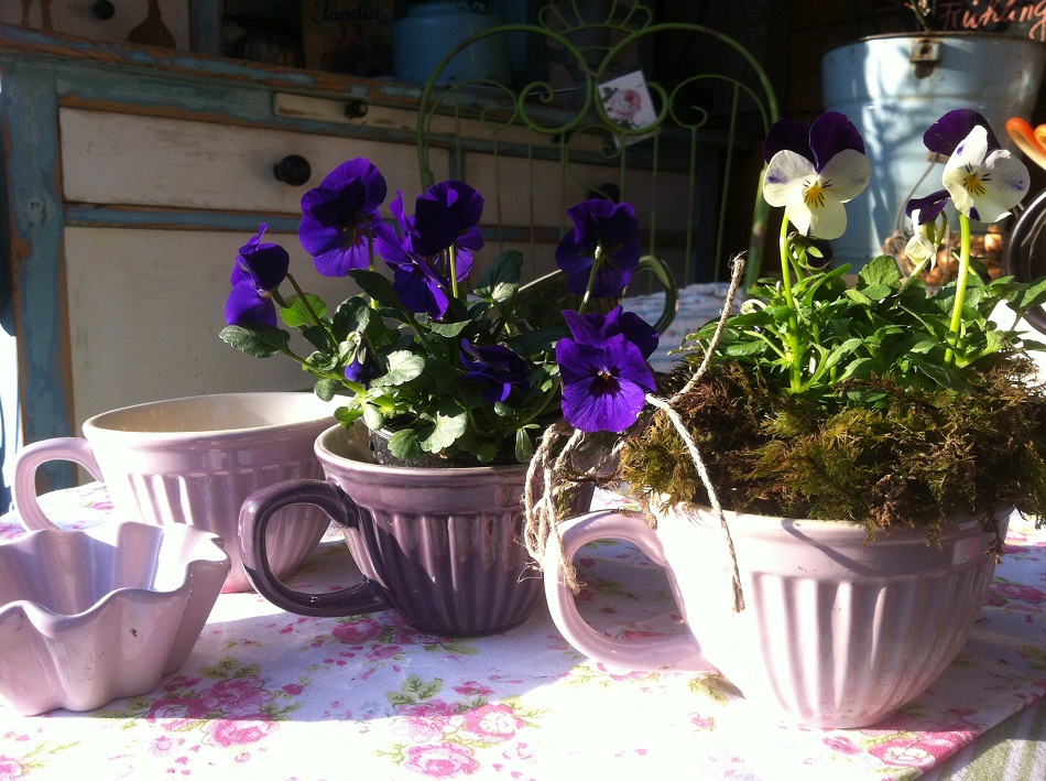 Dekorationen und Zubehör für den Garten Pflanzen Art