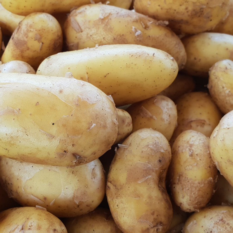 POMME de TERRE NOUVELLE (1 kg)