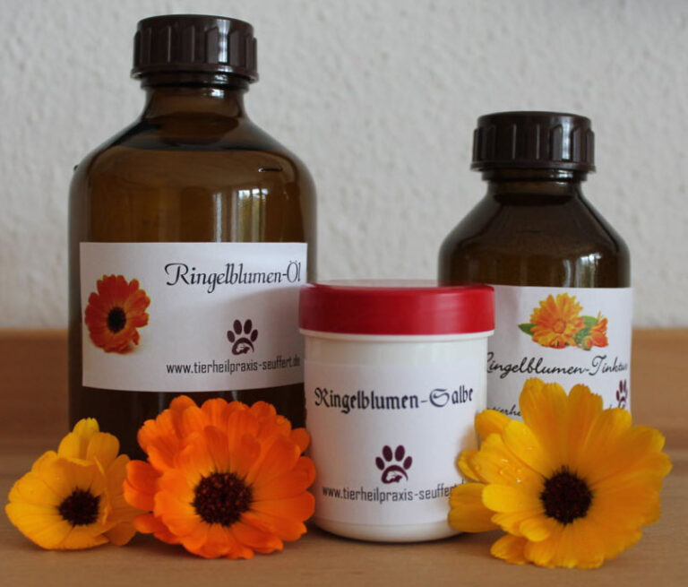 Ringelblumen Rezepte Pfotencafe Leben mit Hund und Katze