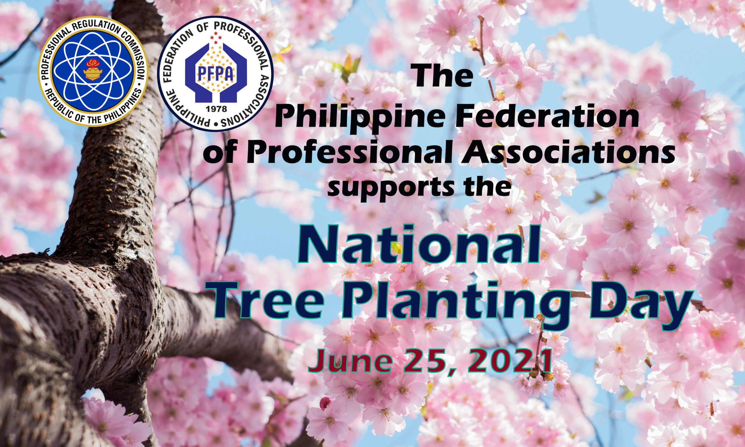 National Tree Planting Day PFPA