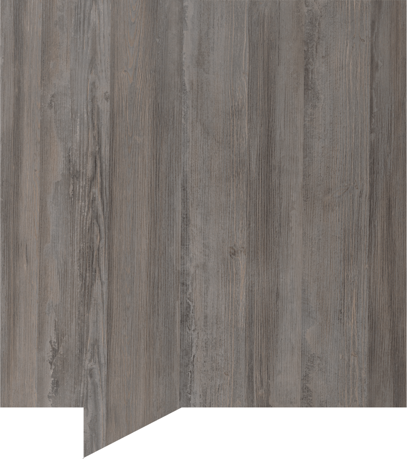 Gallery 4 Roadshow PG Bison