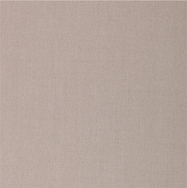 Gallery 4 Roadshow PG Bison