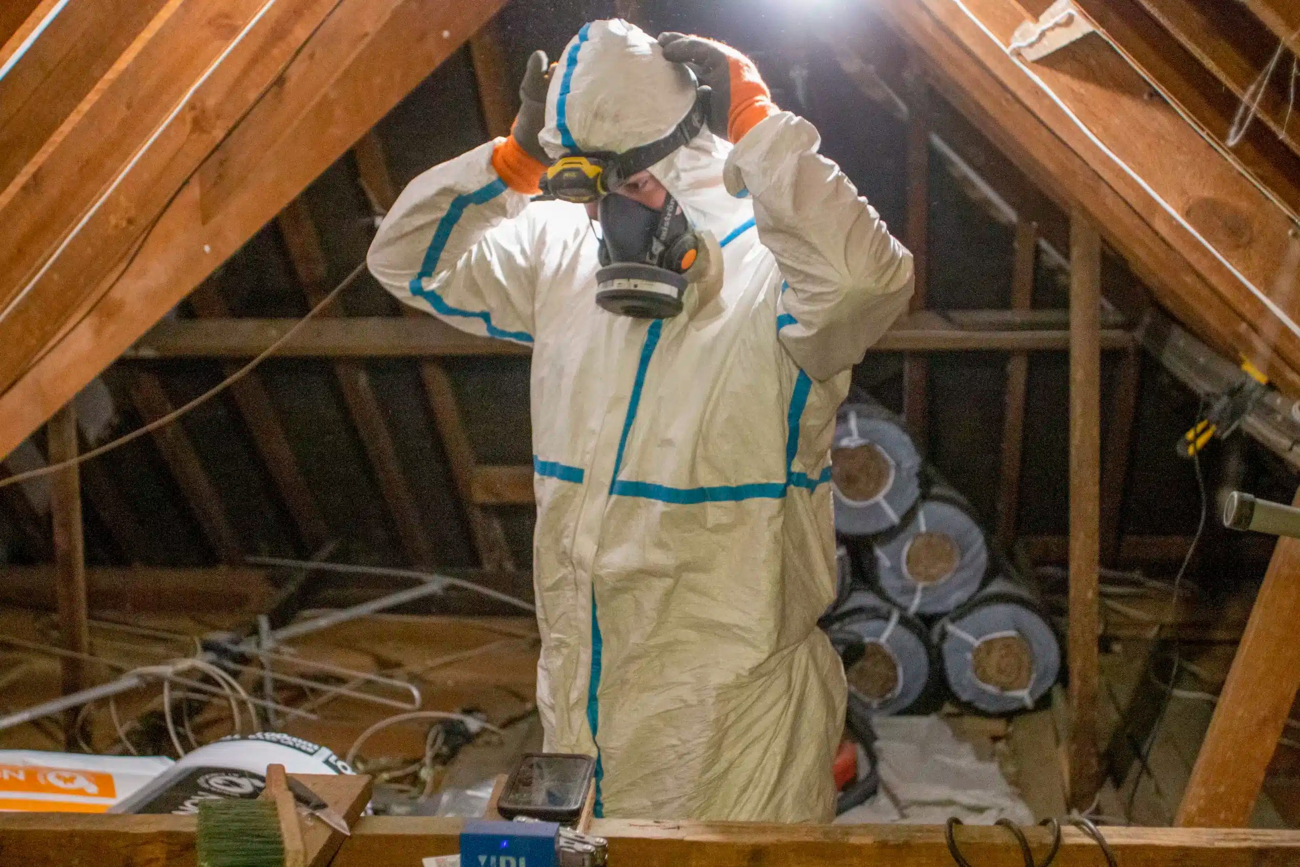 Loft Insulation Clearance PGH Pest Control