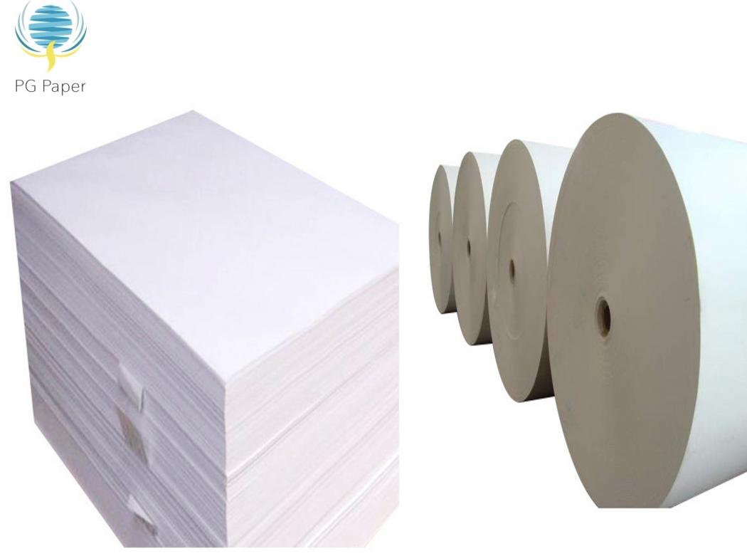 Latest offer C1S Gloss Paper, available in reels! PG Paper